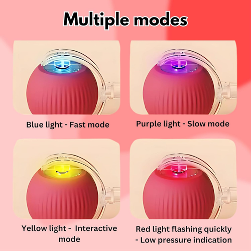 Speedy Tail 2.0: El Juguete Inteligente Todo-Terreno para mascotas felices.