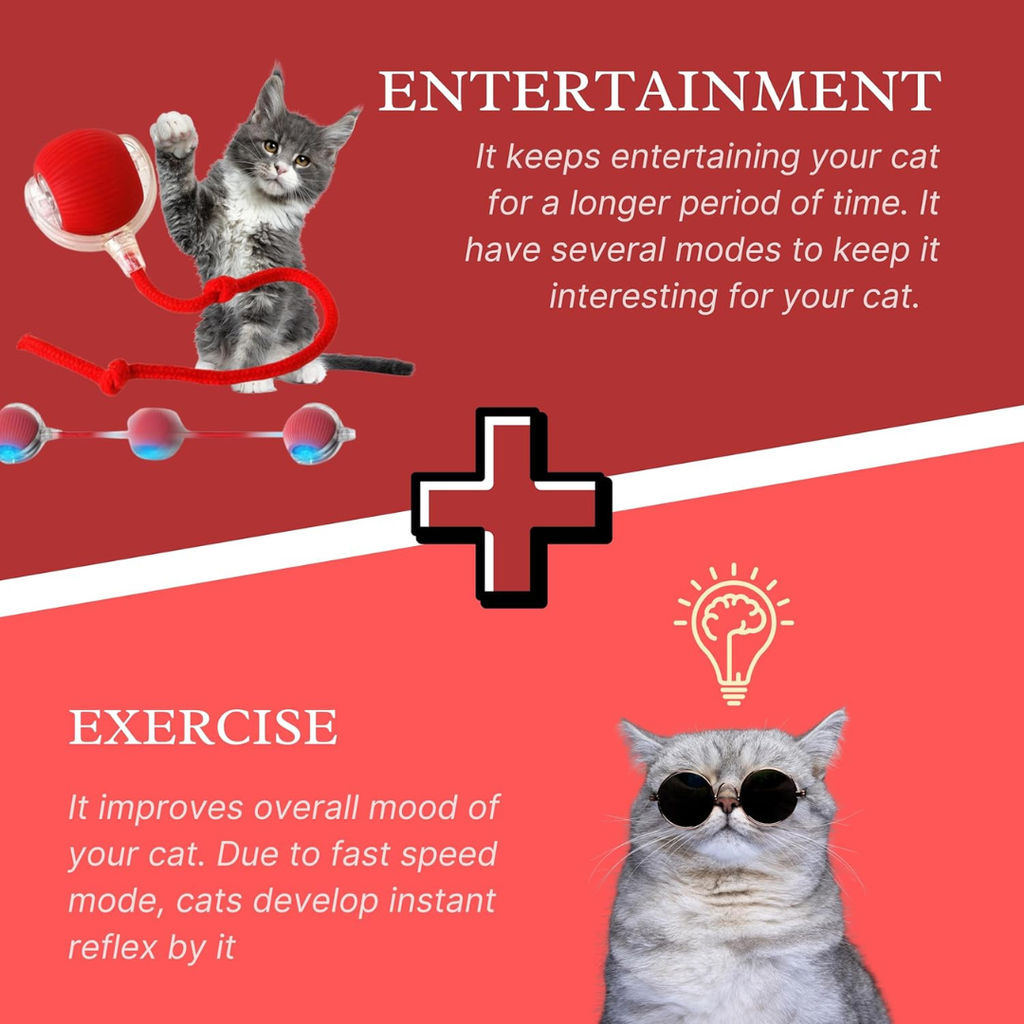 Speedy Tail 2.0: El Juguete Inteligente Todo-Terreno para mascotas felices.