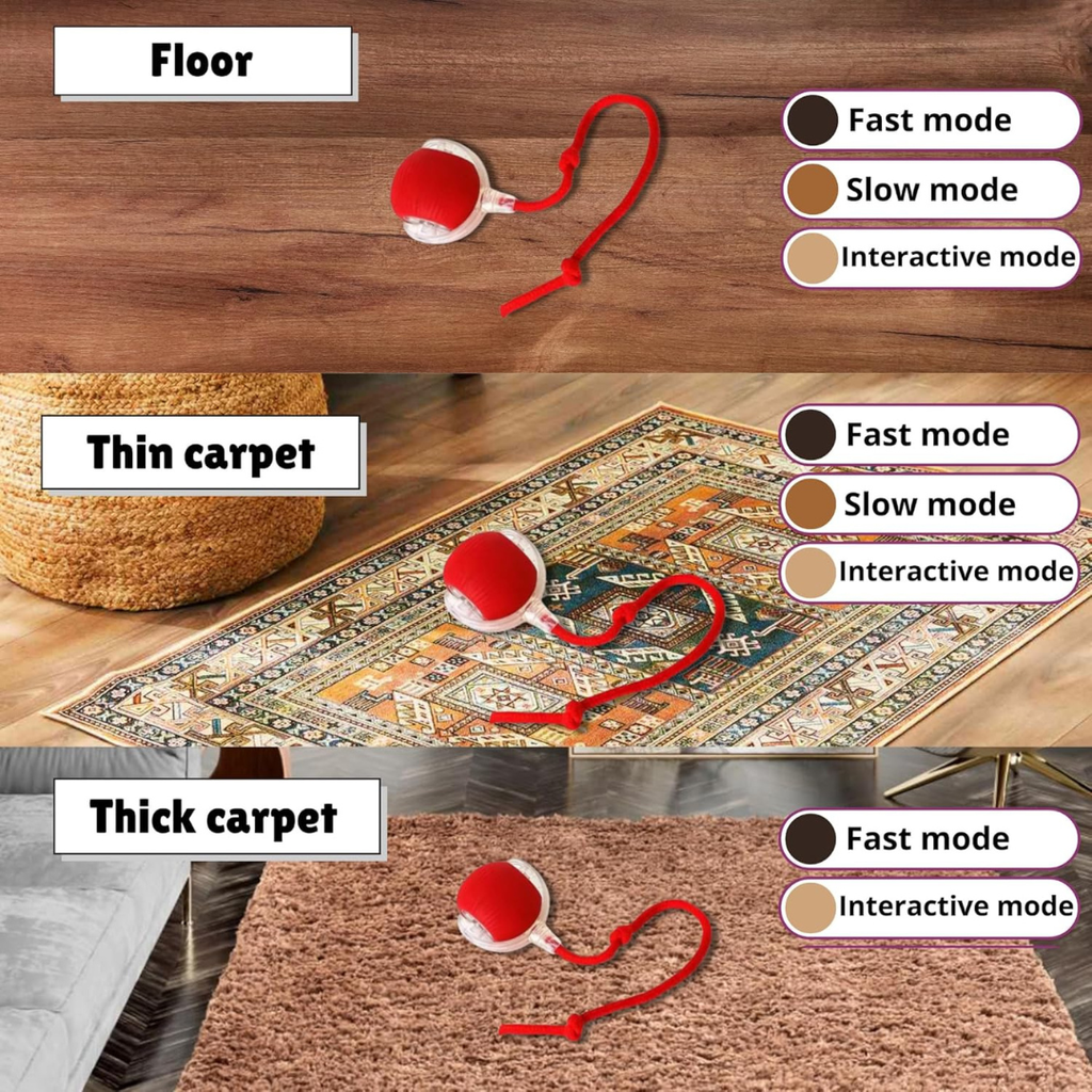 Speedy Tail 2.0: El Juguete Inteligente Todo-Terreno para mascotas felices.